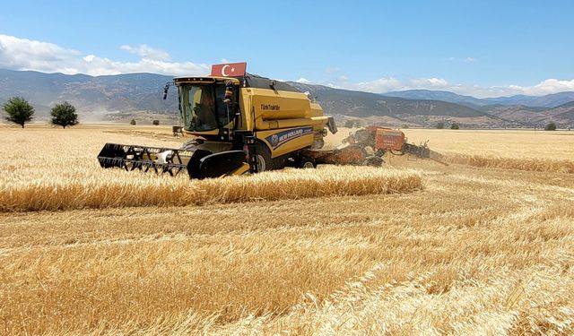 Türkoğlu’nda buğday ve arpa hasadı başladı