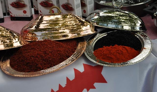 Baharat raflarının kırmızı yıldızı şifayla buluşuyor
