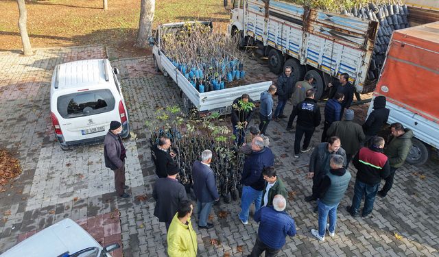 Büyükşehir’den 2025’te Çiftçiye 100 Milyonluk Destek, Üretime Güç