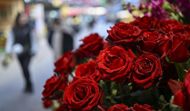 Sevgililer Gününde En Büyük İlgi Kırmızı Güle
