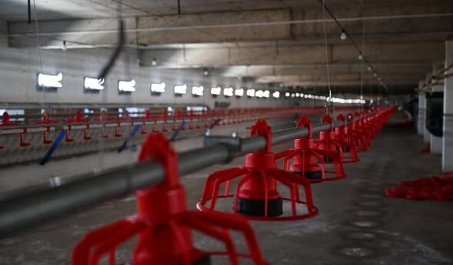 20 milyon TL’lik Broiler tesisi üretime başladı