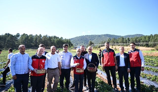 Kahramanmaraş protokolünden çilek üreticilerine ziyaret