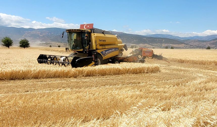 Türkoğlu’nda buğday ve arpa hasadı başladı