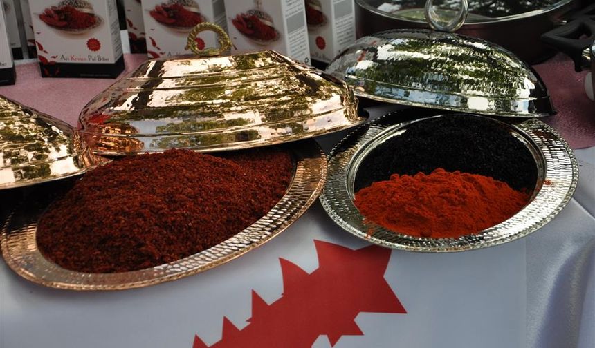 Baharat raflarının kırmızı yıldızı şifayla buluşuyor