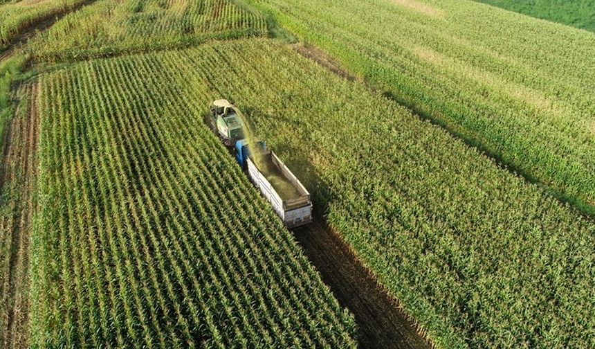 Çiftçiye Can Suyu: 344 Milyon TL Hesaplara Yatırıldı