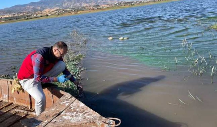 Sır Barajı’ndaki balık ölümleri araştırılacak
