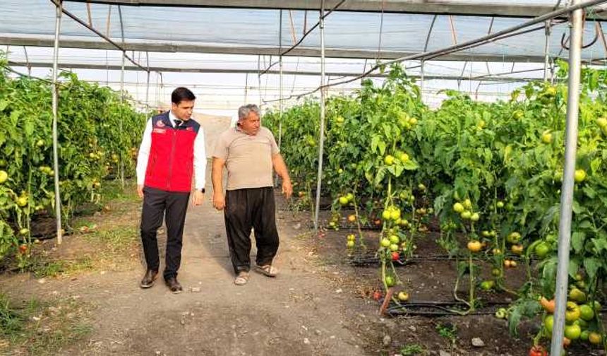 İlçe Tarım Müdürü Ali Şakalar üreticileri ziyaret etti