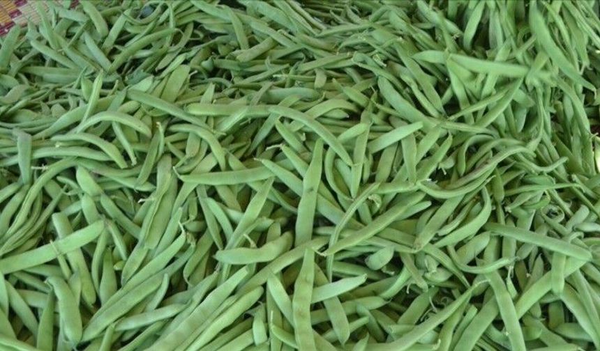 Yeşil Fasulye Kilosu 200 TL’den Tezgahlardaki Yerini Aldı