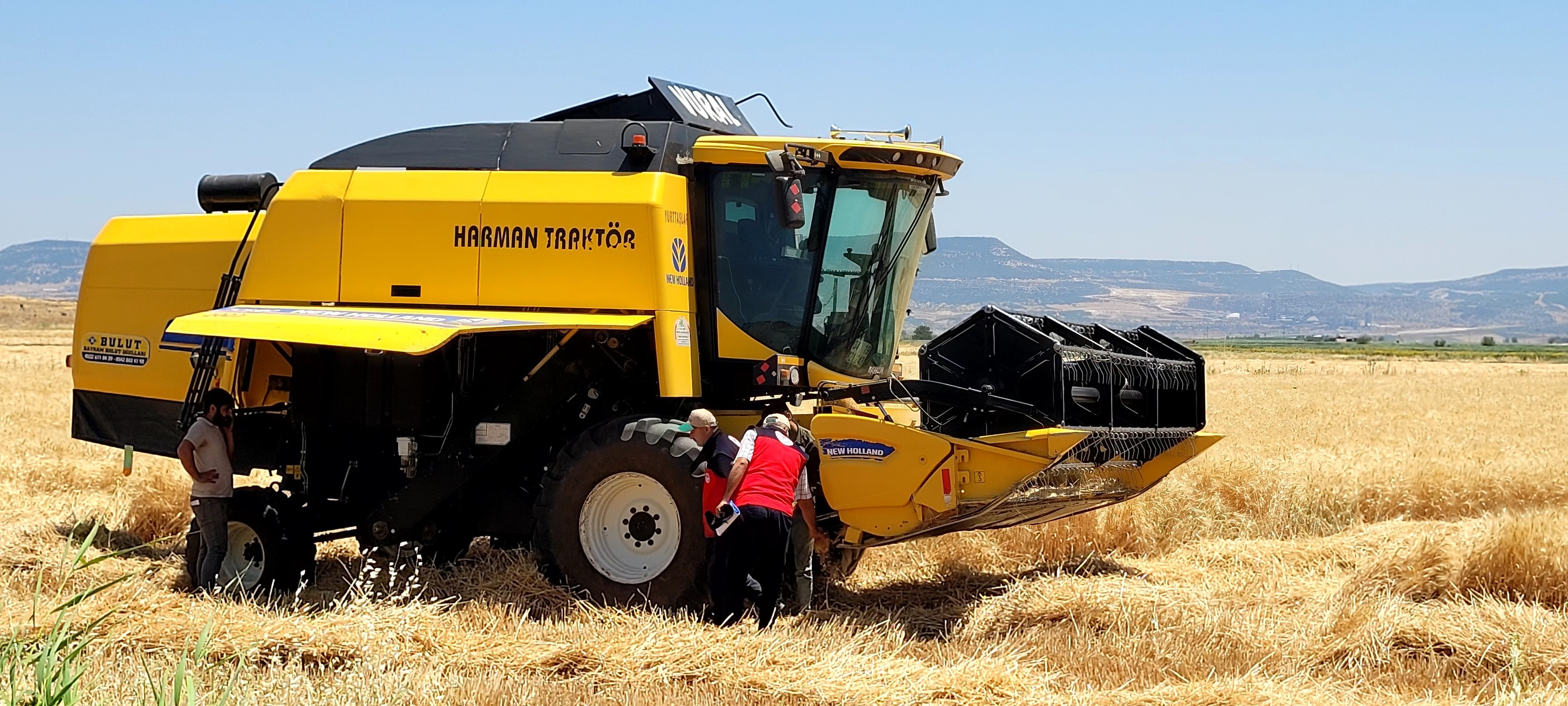 507801927 705571925529843 8722018948133498170 N