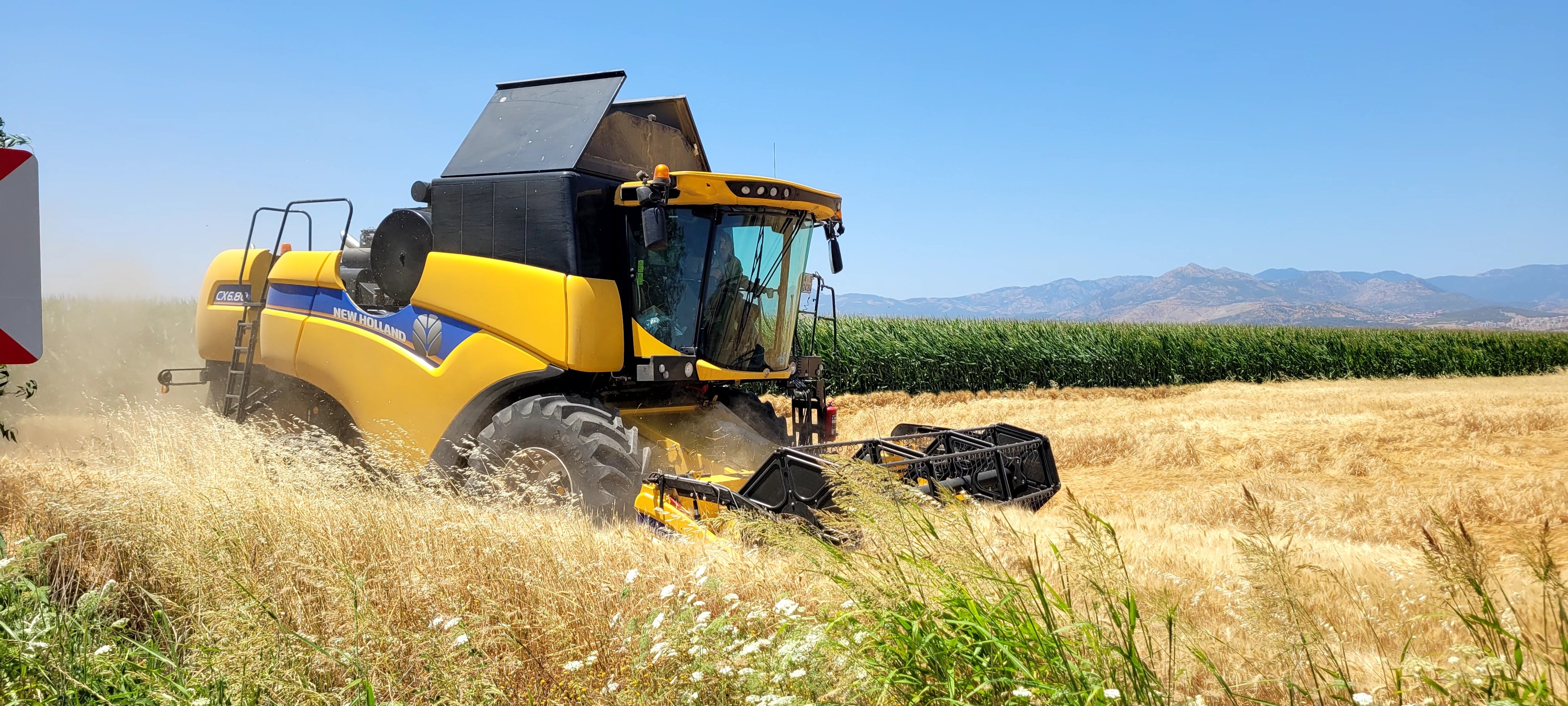 507990529 705571588863210 1301742656766085381 N