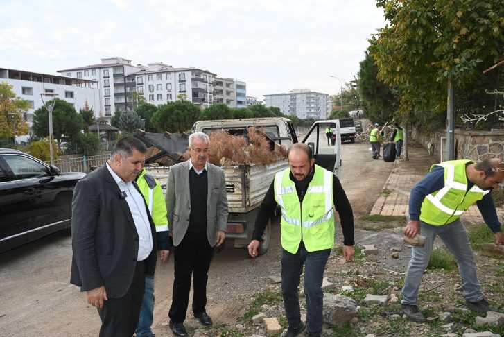 591614810 18411578602136337 3519215470187652147 N