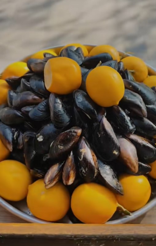 Ekran Görüntüsü 2026 01 15 093824