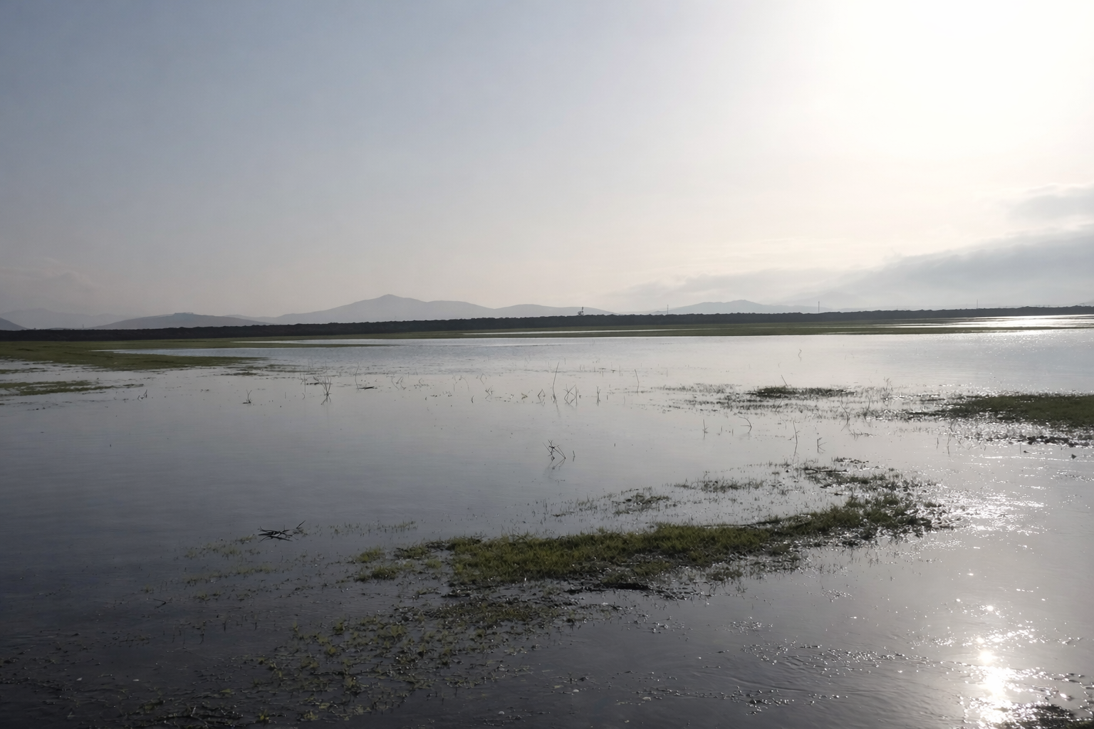 Chatgpt Image 18 Şub 2026 13 50 01