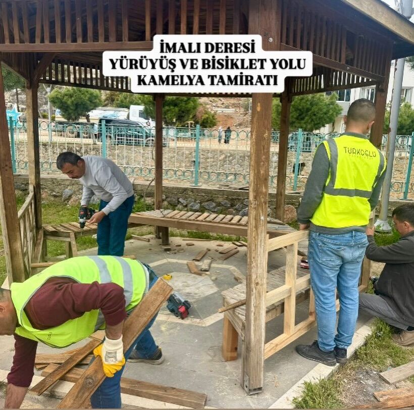 671183384 18433867456136337 3864518594782867209 N